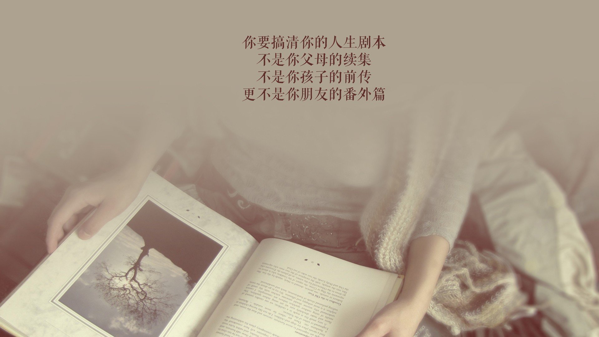 世界帆船赛裁判判罚争议回顾,世界帆船比赛